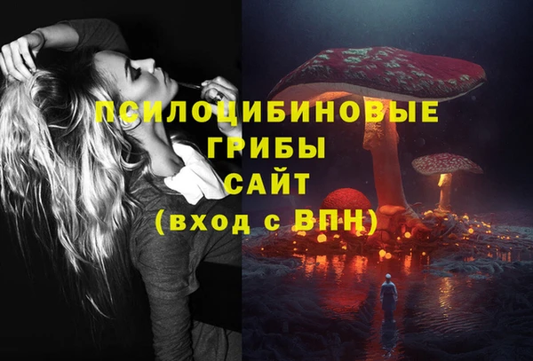 марки lsd Мамадыш