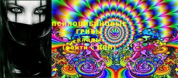 дурь Туринск